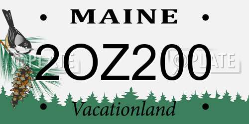 2OZ200 Maine License Plate