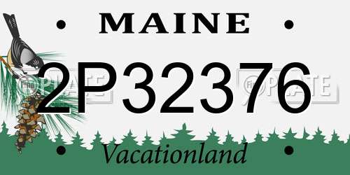 2P32376 Maine License Plate