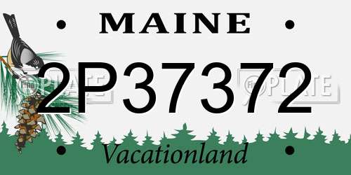 2P37372 Maine License Plate