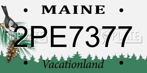 2PE7377 Maine License Plate