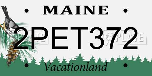 2PET372 Maine License Plate