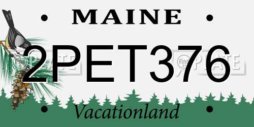 2PET376 Maine License Plate