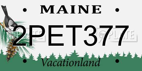 2PET377 Maine License Plate
