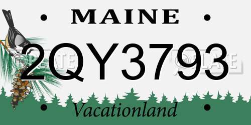 2QY3793 Maine License Plate