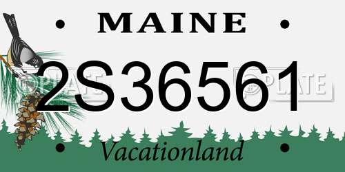 2S36561 Maine License Plate