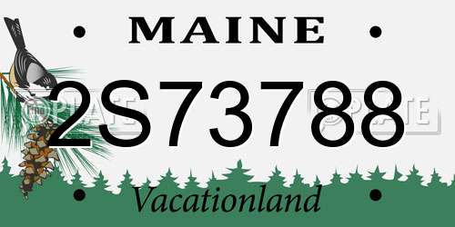 2S73788 Maine License Plate