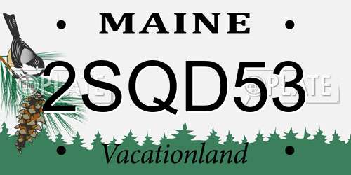 2SQD53 Maine License Plate