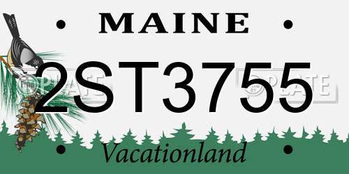 2ST3755 Maine License Plate