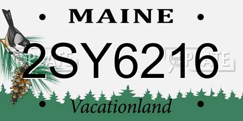 2SY6216 Maine License Plate