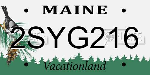 2SYG216 Maine License Plate