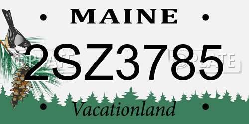 2SZ3785 Maine License Plate