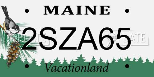 2SZA65 Maine License Plate