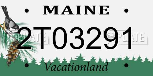 2T03291 Maine License Plate