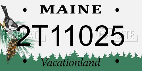 2T11025 Maine License Plate