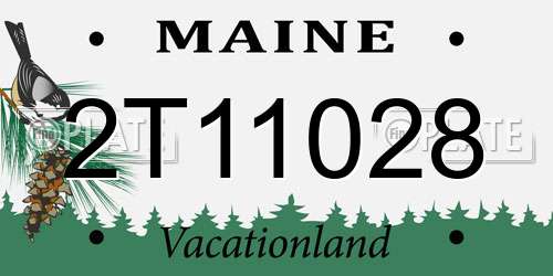 2T11028 Maine License Plate