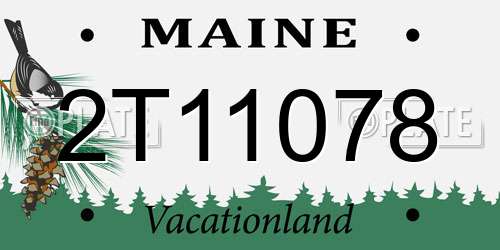 2T11078 Maine License Plate