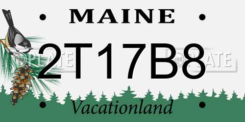 2T17B8 Maine License Plate