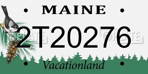 2T20276 Maine License Plate