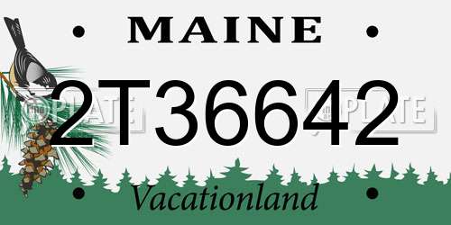 2T36642 Maine License Plate