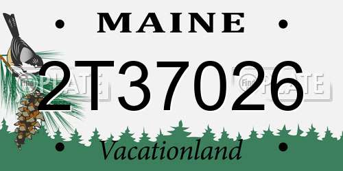 2T37026 Maine License Plate