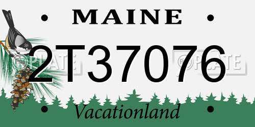 2T37076 Maine License Plate