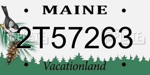 2T57263 Maine License Plate