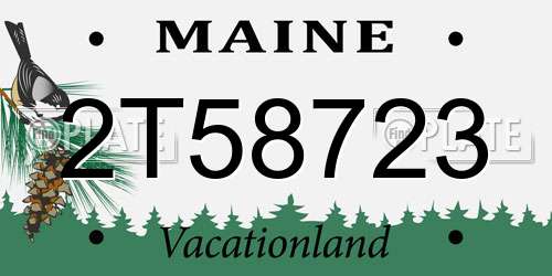 2T58723 Maine License Plate