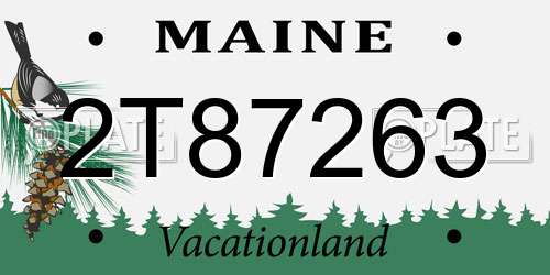 2T87263 Maine License Plate