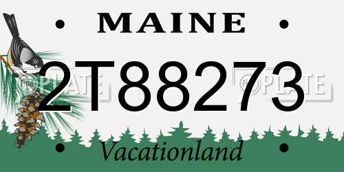 2T88273 Maine License Plate