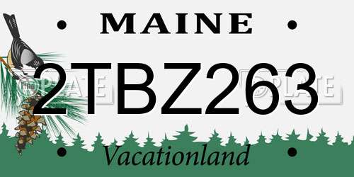 2TBZ263 Maine License Plate