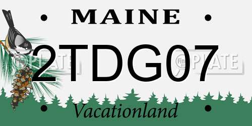 2TDG07 Maine License Plate