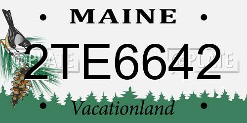 2TE6642 Maine License Plate