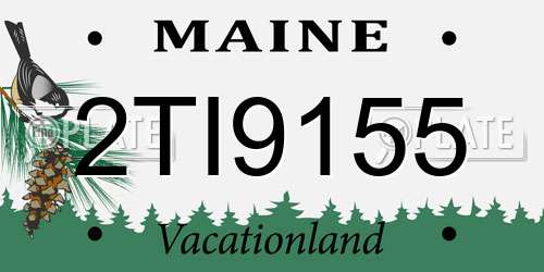 2TI9155 Maine License Plate