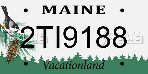 2TI9188 Maine License Plate