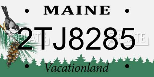 2TJ8285 Maine License Plate