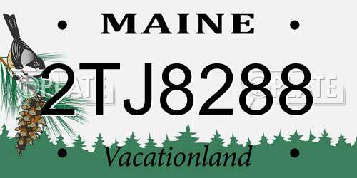 2TJ8288 Maine License Plate