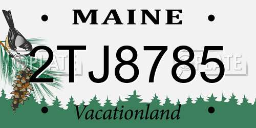 2TJ8785 Maine License Plate