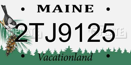2TJ9125 Maine License Plate