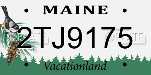 2TJ9175 Maine License Plate