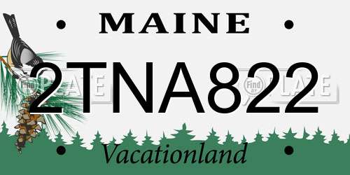 2TNA822 Maine License Plate