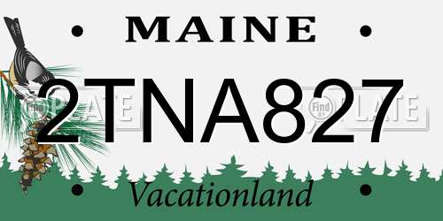 2TNA827 Maine License Plate