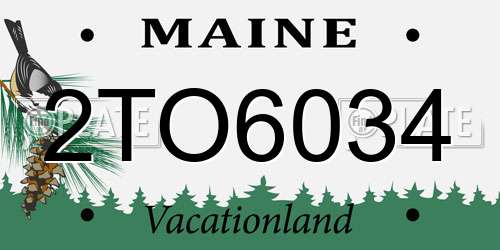2TO6034 Maine License Plate