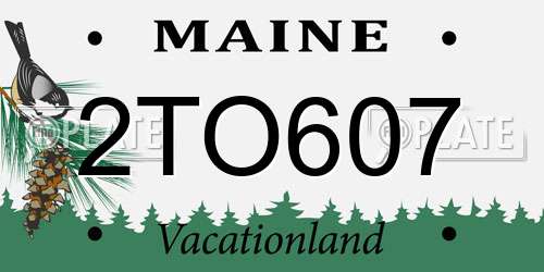 2TO607 Maine License Plate