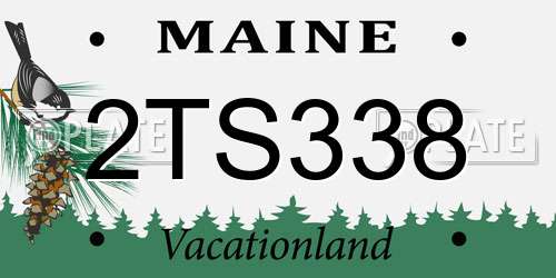 2TS338 Maine License Plate