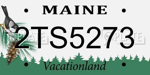 2TS5273 Maine License Plate