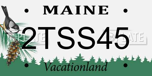 2TSS45 Maine License Plate