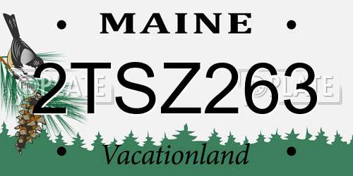 2TSZ263 Maine License Plate