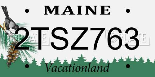 2TSZ763 Maine License Plate