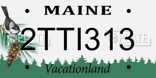 2TTI313 Maine License Plate