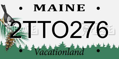 2TTO276 Maine License Plate